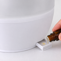 Humidificateur Électrique de Bureau à Brume Froide, Commande par Bouton, Capacité 2,5 L, en Plastique, Garantie 1 An, Utilisation Bureau et Maison, Stérilisation