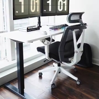 Une variété de bureaux d'ordinateur de levage électrique Design ergonomique en métal Différentes tailles et spécifications au choix