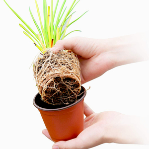 Pots de pépinière en PP en gros, pots de culture en plastique pour jardin, pots à fleurs en plastique - Product Image 3