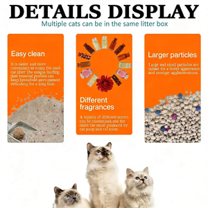 <span class=keywords><strong>Arena</strong></span> <span class=keywords><strong>aglomerante</strong></span> de bentonita de sodio de alta calidad y rápida aglomeración que bloquea el olor, la más vendida de 2026 para gatos - Product Image 4