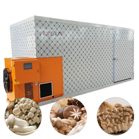 Productielijn voor het drogen van eetbare champignons, schimmelwerende dehydratatie- en drooglijn voor champignonmaterialen
