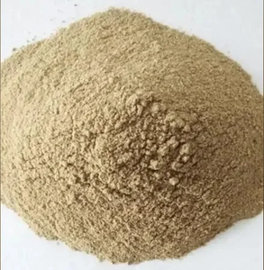 ผงโปรไบโอติกจากแบคทีเรีย Bacillus Pumilus - Product Image 3