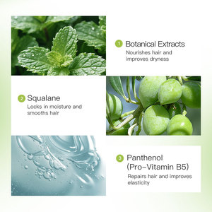 Shampooing Quotidien Hydratant et Réparateur Botanique <span class=keywords><strong>pour</strong></span> <span class=keywords><strong>Cheveux</strong></span> Lisses, Anti-Frisottis, Nettoyage en Profondeur, <span class=keywords><strong>Cheveux</strong></span> Doux et Soyeux - Product Image 4