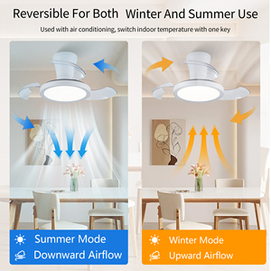 Lampe à ventilateur électrique de conception moderne de 20 pouces pour la maison Restaurant Chambre à coucher Lustre intégré 3 <span class=keywords><strong>Conversion</strong></span> de fréquence Muet Invisible - Product Image 4