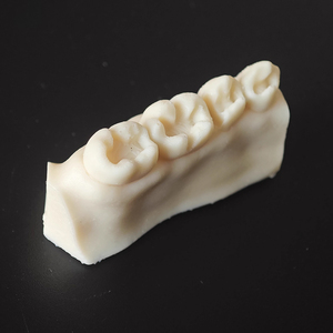 Mô hình răng <span class=keywords><strong>composite</strong></span> nha khoa có lỗ khoang sẵn trước và sau hàm dùng cho thực hành nha khoa, giảng dạy và nghiên cứu - Product Image 5