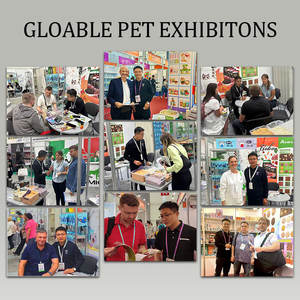 Arena para Gatos em Cristal de Sílica Gel, Preço de Fábrica, Venda por Atacado, Areia para Gato - Product Image 5