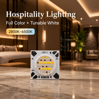 Projecteur de scène professionnel à faisceau large 24V à tension constante RGB+WW+CW COB LED 30W RA 90 5-en-1 avec 1500-2000lm, dimmable