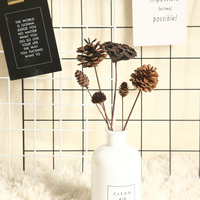 Racines de lotus séchées et cônes de pin décoratifs, fleurs séchées naturelles pour la fête des mères et la décoration de Noël à la maison