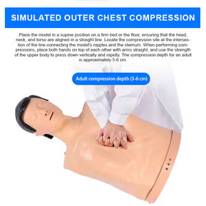 Formateur avancé de <span class=keywords><strong>réanimation</strong></span> cardio-pulmonaire électronique en PVC CPR195 certifié ISO9001/ISO14001, demi-corps médical - Product Image 4