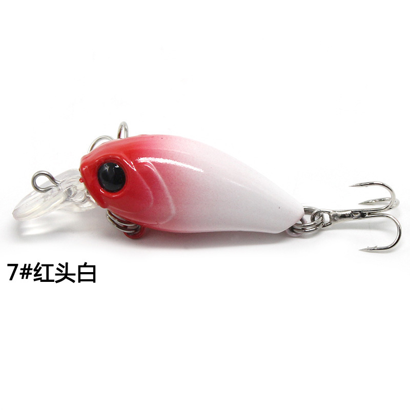 7 testa rossa bianca