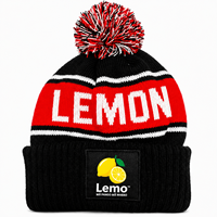 Casquette personnalisée à faible MOQ, style sport, rayée, avec pompon, bonnet tricoté brodé 100 % acrylique, pour équipes sportives, écoles, activités de plein air