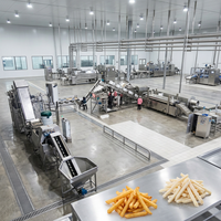 Línea de Producción de Papas Fritas Totalmente Automática para Papas a la Francesa, Papas en Rodajas, Configuración Flexible Multiproducto, Certificación CE
