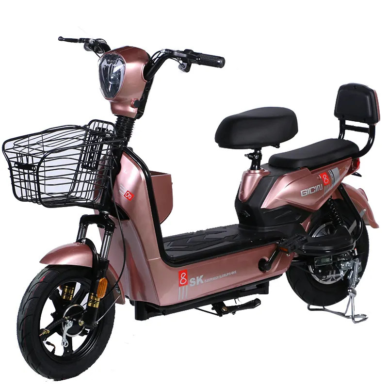 Paige China Eec E-bike Xe Đạp Điện Dành Cho Người Lớn Di Động Bộ Pin Xe Đạp Điện Thành Phố Leo Núi Đa Chất Liệu Ebike Rider