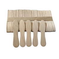 Bâtonnets de crème glacée jetables, flexibles, portables, écologiques, en bois de bouleau, pour machine à crème glacée et desserts, cuillère à crème glacée