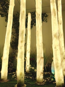 Phát Sáng Bạch dương thân cây đèn 1m 2M 2.5M 3m 4m cao sợi thủy tinh nhựa mô phỏng Bạch Dương dẫn ánh sáng cho đường phố hội trường vườn Bạch Dương ánh sáng - Product Image 4