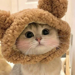 Beautiful Pet <b>Plush</b> Bear Headband For <b>Cats</b> And Dogs Winter Warm Pet Hat Comfortable Funny Style - Product Image 3