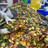 Smakelijke En Gezonde Gemengde Gedroogde Fruit-En Groentechips-Ideaal Om Onderweg Te Snacken