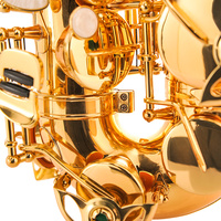 Professional E-flat Alto Saxophone with Gold Lacquer Finish EB Tone Rust Resistant for Beginners & Performers