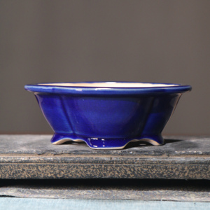Maceta de Cerámica para Bonsái con Acabado Verde Agrietado Estilo Zen - Product Image 4
