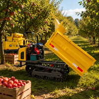 Mini chariot de transport sur chenilles en caoutchouc de 0,8 à 1,0 tonne, moteur diesel, non basculant, pour travaux de jardinage et de construction