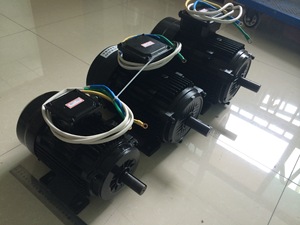 Precio al por Mayor de Motor CC sin Escobillas BLDC 24v 36v 60v 1500w/1.5 kw / 2hp  3000rpm - Product Image 4