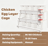 Nouvelle cage longue en acier galvanisé à 4 niveaux pour l'élevage de poules pondeuses, capacité 120, 128, 160 oiseaux