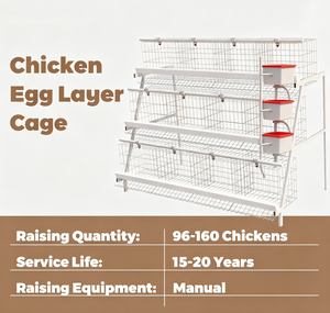 Nueva <span class=keywords><strong>Jaula</strong></span> Larga de Acero Galvanizado de 4 Niveles para Cría de Gallinas Ponedoras y Aves de Corral (120, 128, 160 Aves) - Product Image 2