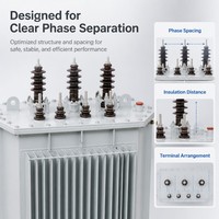 Transformateur de distribution de puissance triphasé immergé dans l'huile, bobinage en cuivre pur Dyn11, 10 kV 0,4 kV, sur mesure par le fabricant