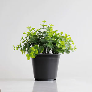 Bonsái de escritorio, simulación de plantas verdes para interiores, decoración de bonsái pequeña, accesorios para el hogar, plantas, regalo OEM /ODM, bonsái pequeño - Product Image 6