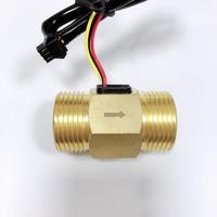 Sensor Aliran Air Efek Hall Magnetik 1 Inci 4-45L/Menit Sensor Pengukur Aliran Cairan Baja Tahan Karat Sensor Kontrol Aliran Air