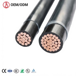 <span class=keywords><strong>Cable</strong></span> Eléctrico THHN/THWN-2 de Cobre Trenzado con Recubrimiento de Nailon, <span class=keywords><strong>Calibre</strong></span> 14, 12, <span class=keywords><strong>10</strong></span>, 8 AWG, <span class=keywords><strong>Cable</strong></span> <span class=keywords><strong>para</strong></span> Construcción de 600V <span class=keywords><strong>para</strong></span> la Industria - Product Image 1