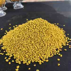 <span class=keywords><strong>Pollen</strong></span> <span class=keywords><strong>d</strong></span>'<span class=keywords><strong>abeille</strong></span> de haute qualité, 100% <span class=keywords><strong>pollen</strong></span> de colza, granules de <span class=keywords><strong>pollen</strong></span> <span class=keywords><strong>d</strong></span>'<span class=keywords><strong>abeille</strong></span>, <span class=keywords><strong>pollen</strong></span> <span class=keywords><strong>d</strong></span>'<span class=keywords><strong>abeille</strong></span> naturel pur, <span class=keywords><strong>pollen</strong></span> <span class=keywords><strong>d</strong></span>'<span class=keywords><strong>abeille</strong></span> en vrac - Product Image 2