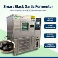 Machine de Fermentation d'Ail Noir à Faible Bruit et Circulation d'Air Silencieuse pour un Espace de Traitement Alimentaire Propre