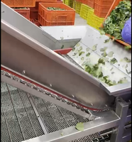 Machine de congélation en tunnel automatique IQF industrielle continue pour perles de tapioca, boules de riz glutineux Tangyuan