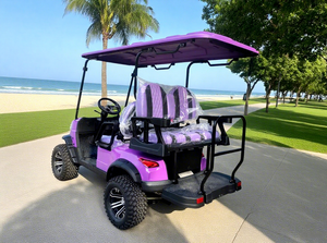 Voitures électriques 4x4 côte à côte, mini <span class=keywords><strong>jeep</strong></span> tout-terrain, buggy de chasse, voiturette de golf pour la plage - Product Image 5