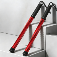 Ensemble de cordes de combat sans corde, cordes d'entraînement lestées sans fil, équipement de gym portable pour la maison, entraînement complet du corps et renforcement musculaire