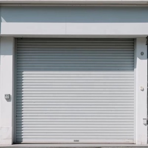 <span class=keywords><strong>Porte</strong></span> <span class=keywords><strong>de</strong></span> <span class=keywords><strong>garage</strong></span> <span class=keywords><strong>enroulable</strong></span> ZEYI Premium, économique, anti-ouragan, à commande manuelle, contemporaine et élégante pour le stationnement extérieur - Product Image 2