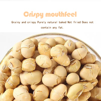 Kacang Kedelai Panggang Grosir Kacang Kuning Asin Camilan Kedelai