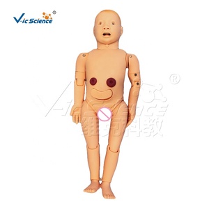 หุ่นจำลองการพยาบาลเด็กอายุ 3 ปี แบบฟังก์ชันครบถ้วน สำหรับฝึกการใส่สายสวนและ<span class=keywords><strong>เจาะ</strong></span> - Product Image 5