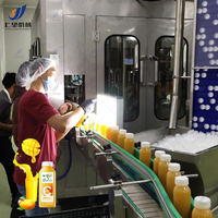 Automatische Mangosap Productielijn Complete Vruchtensapmachine Met Volautomatische Verwerking Van Extractie Tot Verpakking