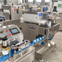Automatische industriële machine voor het omhullen van maamoul en biscuitproducten, hoge capaciteit 20-120 stuks/min, 220V