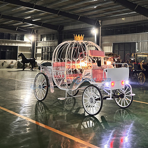 Boda de cuento de hadas en blanco y negro con la novia entrando en una soñadora carruaje de calabaza con temática de <span class=keywords><strong>Cenicienta</strong></span>, <span class=keywords><strong>completa</strong></span> con luces. - Product Image 5