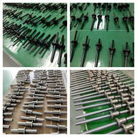 Eje estriado de alta precisión China Spline SLF016 SLF020 SLF025 SLF030 SLT016 SLT020 SLT025 SLT030 Ball Spline para robot