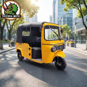 <span class=keywords><strong>Triciclo</strong></span> Motorizado Cerrado de Gran Cilindrada para 2 Pasajeros, Diseño Tuk-Tuk para el Mercado Africano - Product Image 1