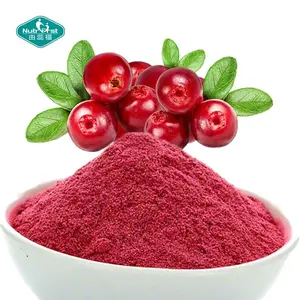 Estratto di frutta produttore professionale 100% puro succo di frutta di mirtillo rosso congelato secco bevanda istantanea in polvere