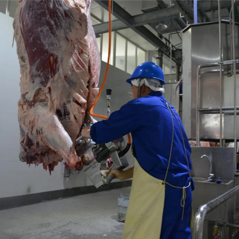 Kleine Schlachthof ausrüstung Rinder schlacht ausrüstung maschine