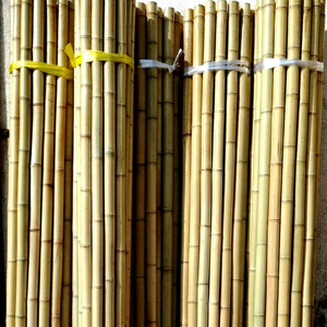 เสาไม้ไผ่ขนาด 20~30 มม. - Product Image 1