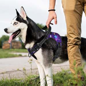 MASBRILL-Arnés para perros, chaleco reflectante con asa, sin estrangulamiento, suave y acolchado, para perros pequeños, medianos y grandes - Product Image 3