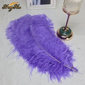 Hot Selling Macaron Violet Ostrich Feathers 60-65cm Dyed Pattern Decorative Wedding Centerpiece and Carnival Costume Decor