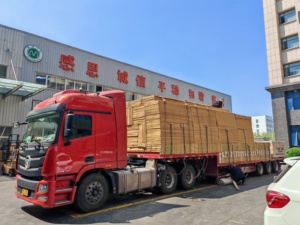 Lối vào chính cử<span class=keywords><strong>a</strong></span> gỗ rắn cử<span class=keywords><strong>a</strong></span> trước cho nhà ở hiện đại bên ngoài cử<span class=keywords><strong>a</strong></span> gỗ sồi cách âm phòng ngủ bệnh viện - Product Image 6